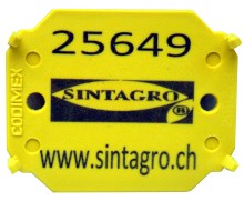 Holzmarkierplättchen GROSSFORMAT LASER / 1'000 Stk. Grossformat Laser